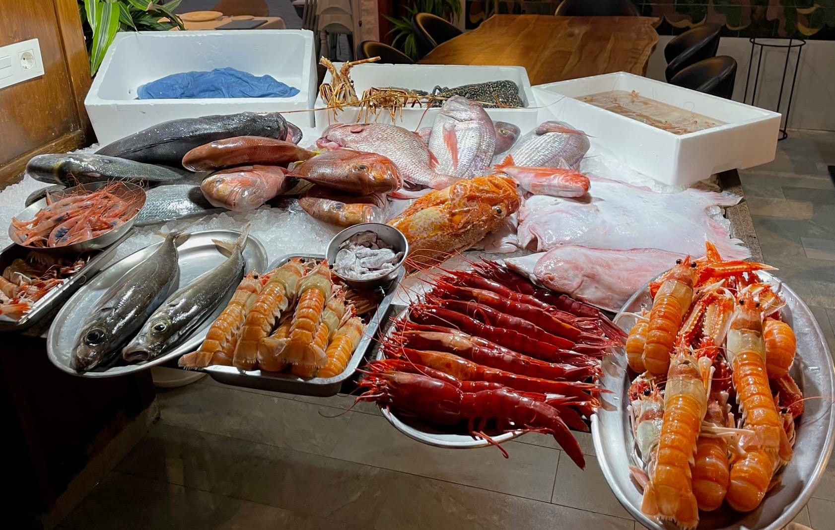 Los Marinos José